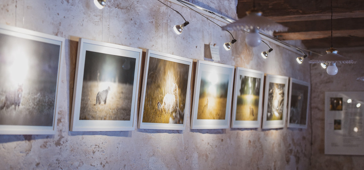 Le Bal du Père Bichot : les expositions